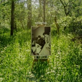 Arboretum - Kerosene