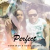 Perfect (Reggae Cover) - Single