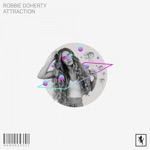 Robbie Doherty - Attraction