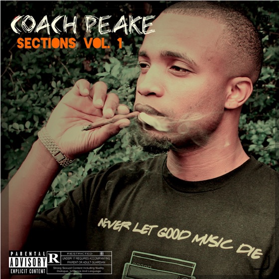 Cover artwork for Lick