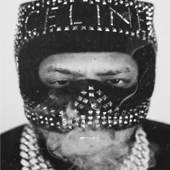 Cover artwork for Julia Lang