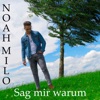 Sag mir warum - Single