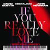 David Guetta, MistaJam & John Newman - If You Really Love Me (How Will I Know) artwork