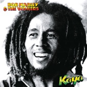 Bob Marley & The Wailers - Easy Skanking