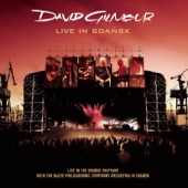 David Gilmour - Echoes (Live In Gdansk)