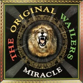 The Original Wailers - Our Day Will Come