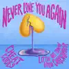 Never Love You Again (with Little Big Town & Bryn Christopher) - Single album lyrics, reviews, download