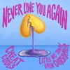Never Love You Again (with Little Big Town & Bryn Christopher) - Single, 2021