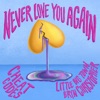 Never Love You Again (with Little Big Town & Bryn Christopher) - Single