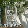 Thirsty (feat. Samuel Wallace) - Single