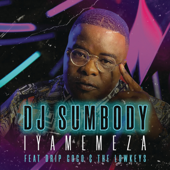 Iyamemeza (feat. Drip Gogo & The Lowkeys) - DJ Sumbody