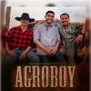 Agroboy (feat. Macila) - Single