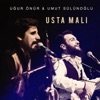 Usta Malı