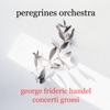 Peregrines Orchestra - Concerto Grosso in D major, Op. 6 No. 5, HWV 323 - I. Largo