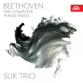 Beethoven: The Complete Piano Trios artwork