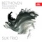 Piano Trio No. 3 in C-Sharp Minor, Op. 1: No. 4, Finale. Prestissimo artwork