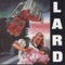 Drug Raid At 4 AM - Lard lyrics