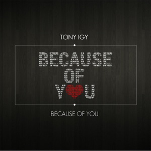 Tony Igy Because of You