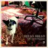 Hello, Hello (Single Edit) - Single album lyrics, reviews, download