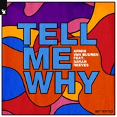 Tell Me Why (feat. Sarah Reeves) [Extended Mix] artwork