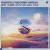 Carry You Home (Ashley Wallbridge Remix) [feat. RUNAGROUND] - Single album lyrics, reviews, download