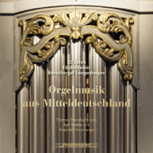 Orgelmusik aus Mitteldeutschland (Thomas Ennenbach an der Kloß-Orgel in der Kirche St. Magdalenen Langenbogen) - Thomas Ennenbach, Ralf Mielke & Ensemble Arco Lungo