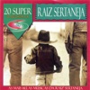 20 Super, o Melhor da Raiz Sertaneja, Vol. 01: As Mais Belas Músicas da Raiz Sertaneja