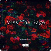Miss the Rage (Instrumental) artwork