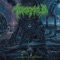 Accelerative Phenomenae - Tomb Mold lyrics