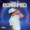 Consumed (feat. YUNG SI) - Single album lyrics, reviews, download