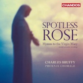 Spotless Rose - Hymns to the Virgin Mary artwork