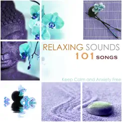 Relaxing Sounds 101 - Keep Calm and Anxiety Free by Relaxing Mindfulness Meditation Relaxation Maestro album reviews, ratings, credits
