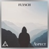 Aspect - Single