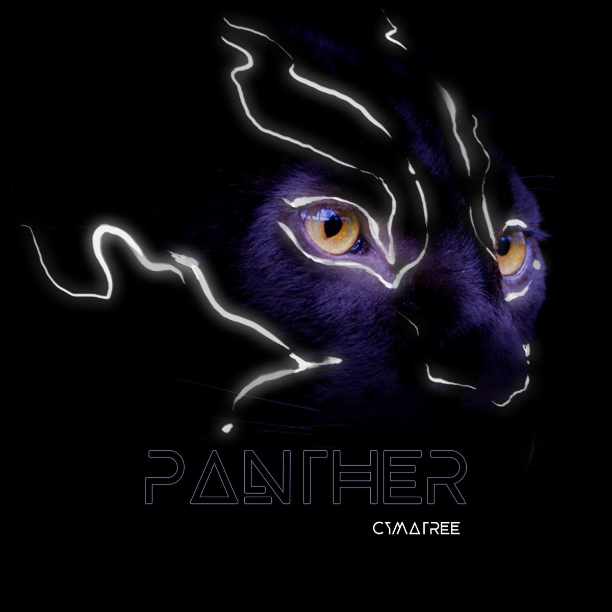 Пантера саундтрек. Пантера обложка альбома. Panthers обложка альбома. Пантера песня певец.
