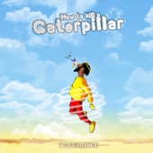 Still Shadey - Caterpillar Intro
