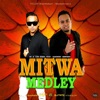 Mitwa Medley (feat. Ki & the Band) - Single