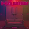 HABIBI - Single album lyrics, reviews, download