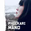 Phulkari - Single album lyrics, reviews, download