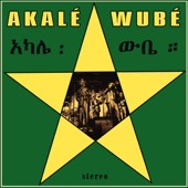 Ayalqem Tèdèngo by Akalé Wubé