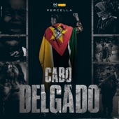 Cabo Delgado artwork