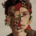 Lost in Japan by Shawn Mendes