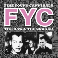 Fine Young Cannibals - Good thing