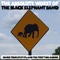 Indian Dance - The Black Elephant Band lyrics