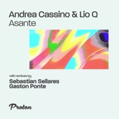 Asante (Sebastian Sellares Remix) artwork