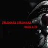 Zillnass Zillnass - Single album lyrics, reviews, download