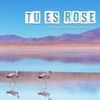 Tu Es Rose (feat. Témé Tan) - Single
