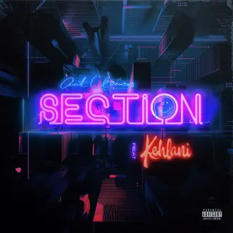 Section (feat. Kehlani) by Ant Clemons song reviws