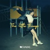 The Little Things - Single