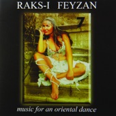 Raksı Feyzan, Vol. 7 artwork