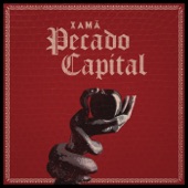 Pecado Capital artwork